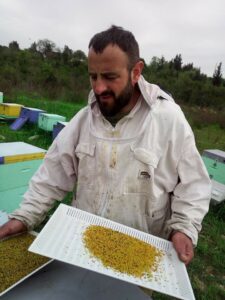 30582461 441652229604316 8505728120324620288 n