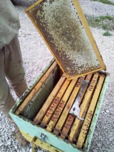 39077369 528721900897348 2085387015129399296 n