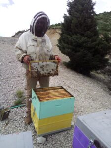 39105835 528722077563997 2928711273992421376 n