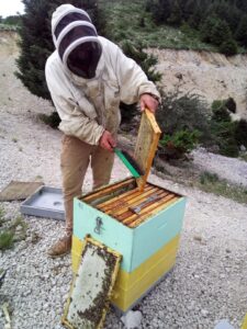 39108284 528722020897336 8001390000748888064 n