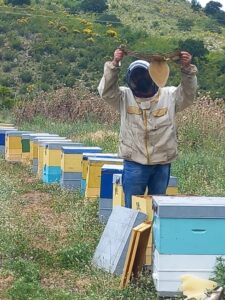 488216855 1207065584754183 1931026846317664886 n