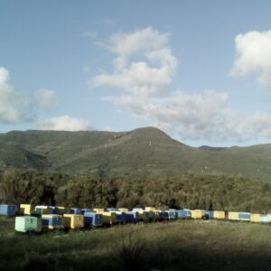 488943792 2166706300432225 3198834197922551646 n