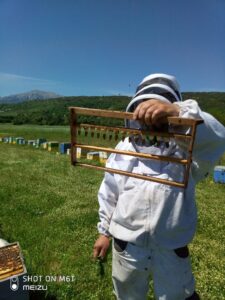 96794679 942529529516581 694232973217628160 n